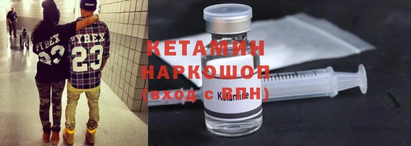 шишки Абаза