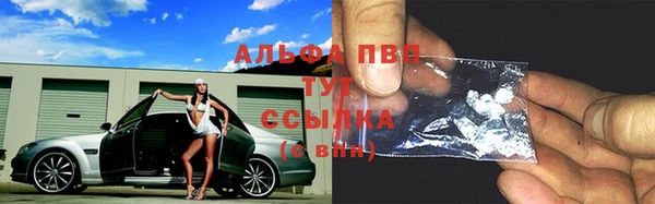 шишки Абаза