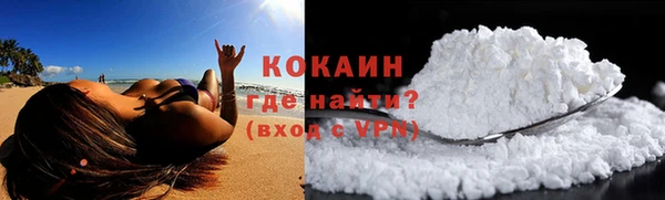 шишки Абаза