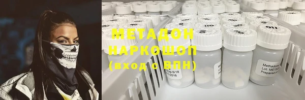 шишки Абаза