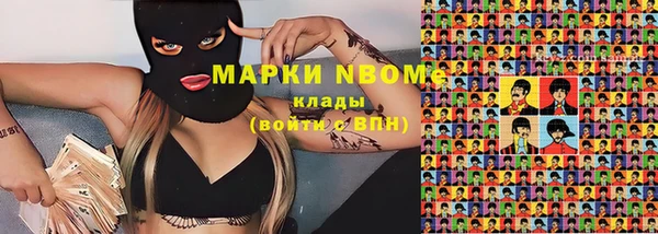 шишки Абаза