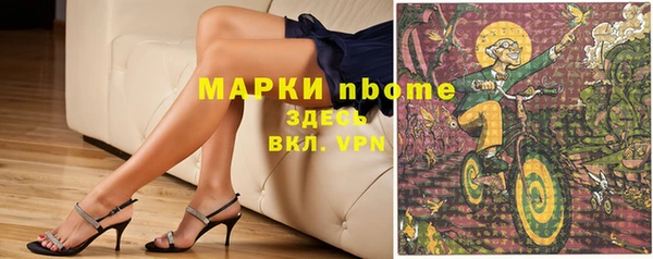 шишки Абаза