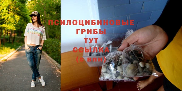 шишки Абаза