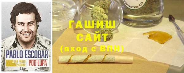шишки Абаза