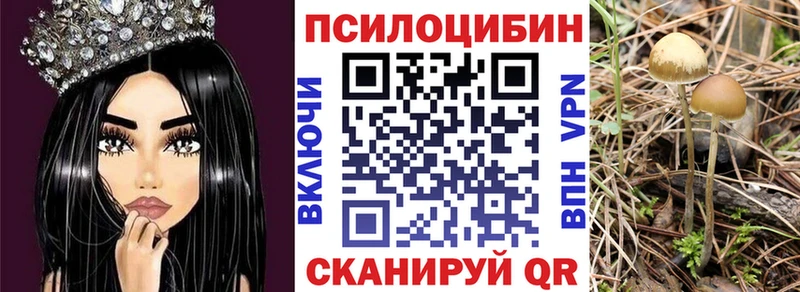OMG как зайти  хочу наркоту  Эртиль  Галлюциногенные грибы Psilocybe 