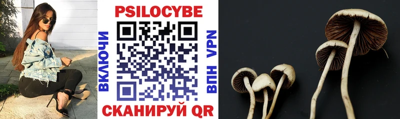 Псилоцибиновые грибы Psilocybine cubensis Эртиль